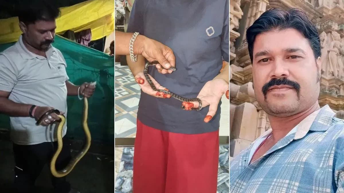 करैत पकड़कर घर लाए स्नैक कैचर, बच्चों को दिखाते समय डसा; इलाज ना कराने पर मौत