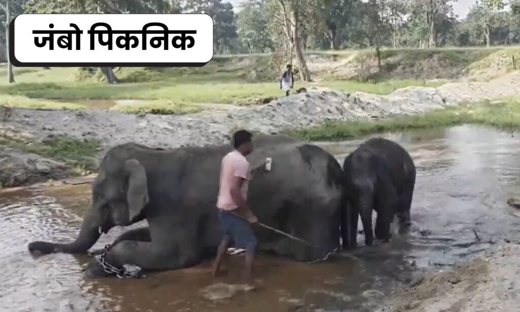 Bandhavgarh Tiger Reserve Jumbo Picnic