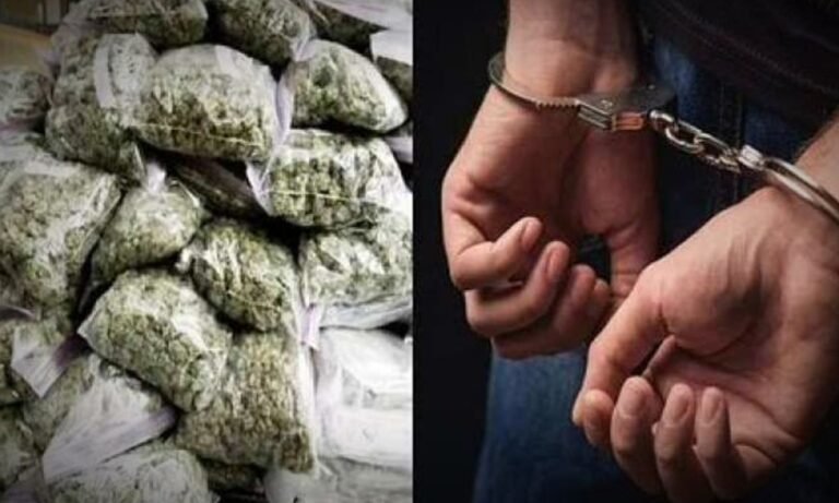 Police crack down on drug dealers in Rajgarh