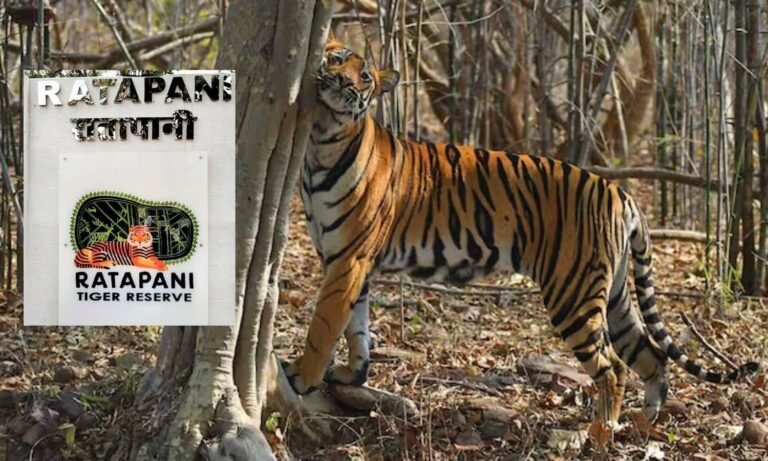 Ratapani Tiger Reserve