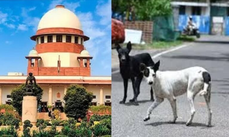 Supreme Court On Street Dogs