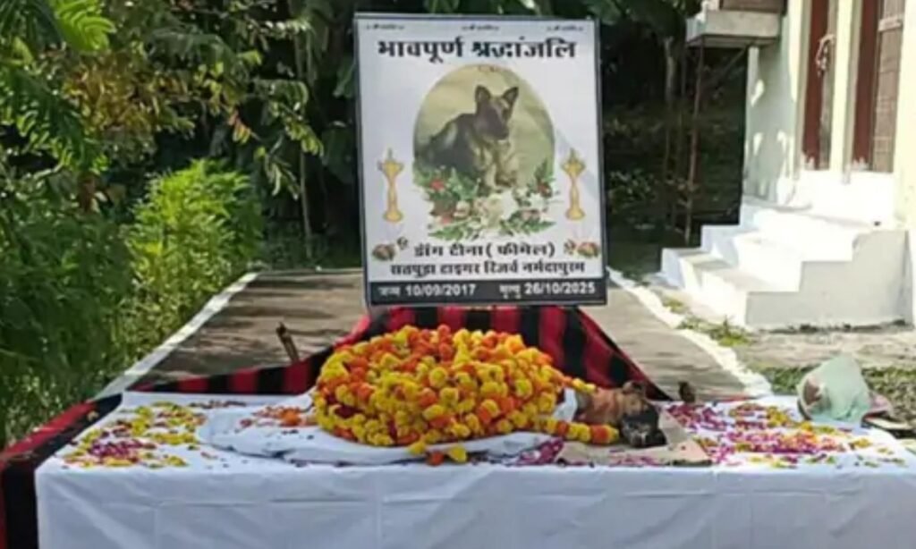 STR dog Tina was given a state farewell