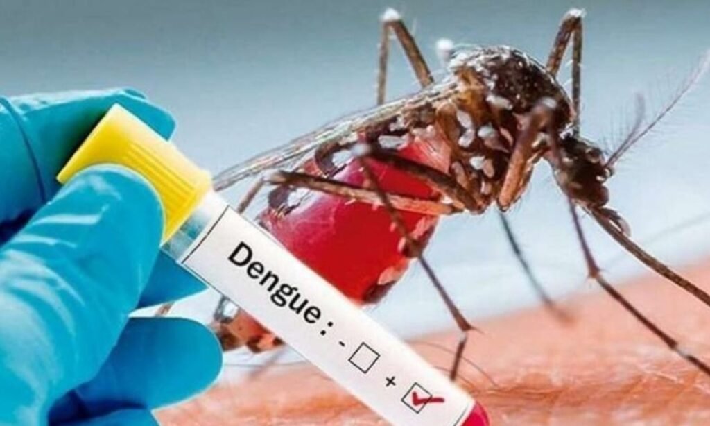Dengue and malaria are spreading in Sehore
