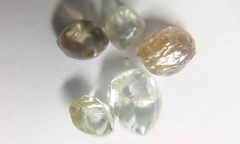Farmer Brijendra found five diamonds