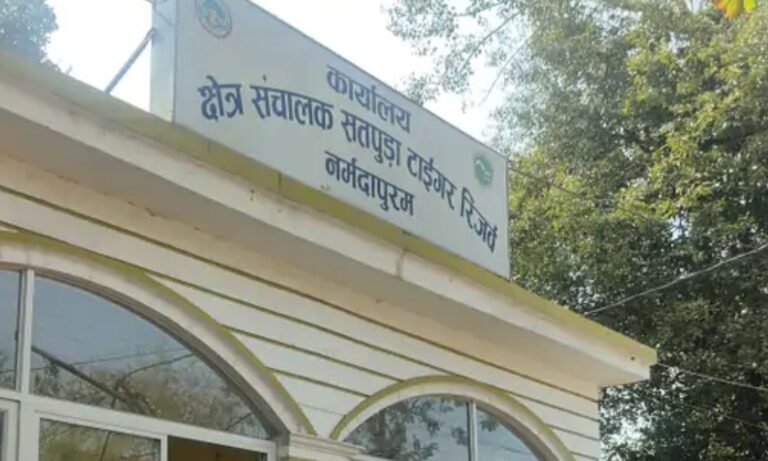 Satpura Tiger Reserve News