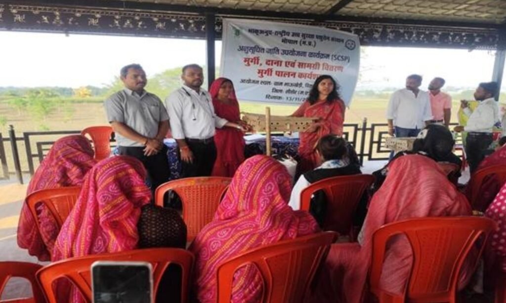 Sehore Lakhpati Didi Poultry