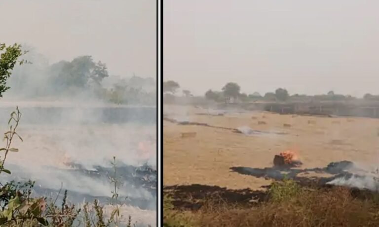 Four FIRs have been registered so far for stubble burning in Narmadapuram