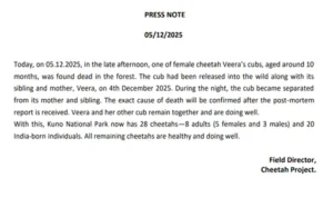 Kuno National Park cub death