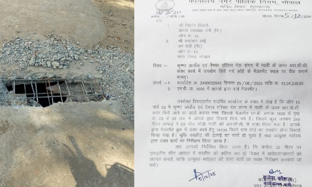 Bhopal Municipal Corporation Iron Scam