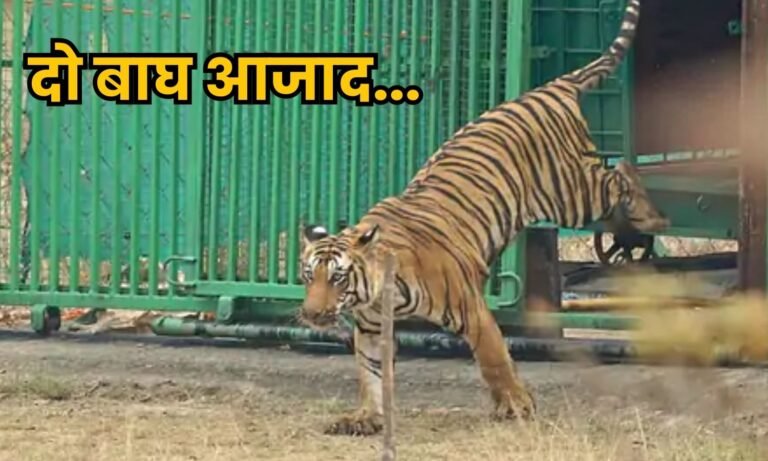 Satpura Tiger Reserve