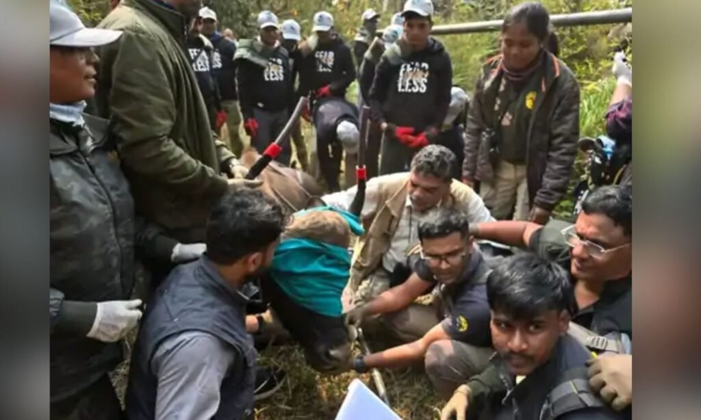 MP STR Operation Bison