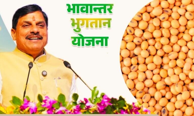 soybean Bhavantar payment