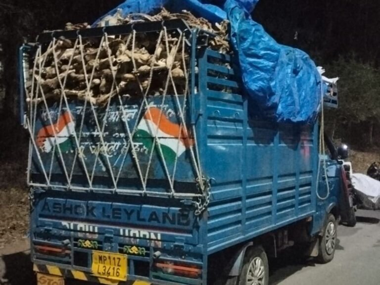 MP NEWS : पशुओं की हड्डियों से भरा वाहन पकड़ा गया, गौवंश अवशेष की आशंका