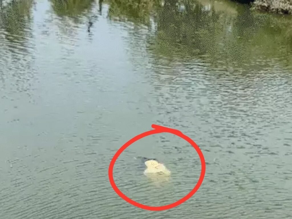 Narmadapuram Murder case