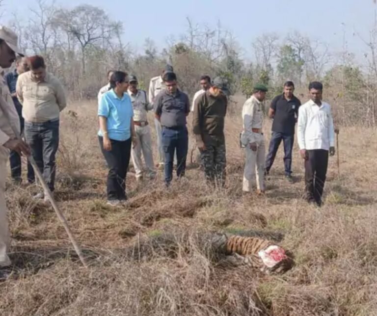 Satpura Tiger Reserve