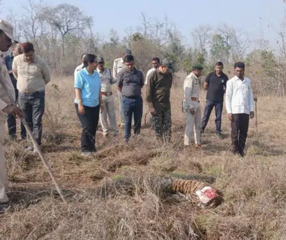 Satpura Tiger Reserve