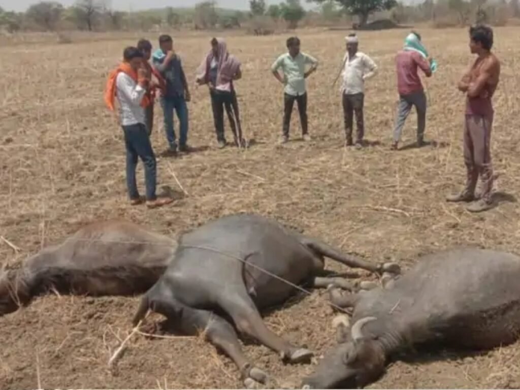 Electric Line Accident