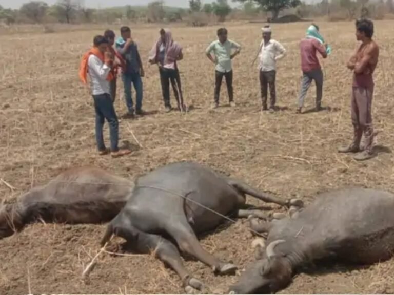 Electric Line Accident