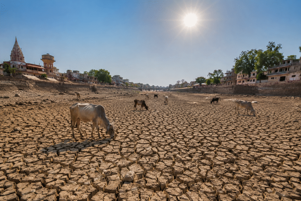 Water Crisis
