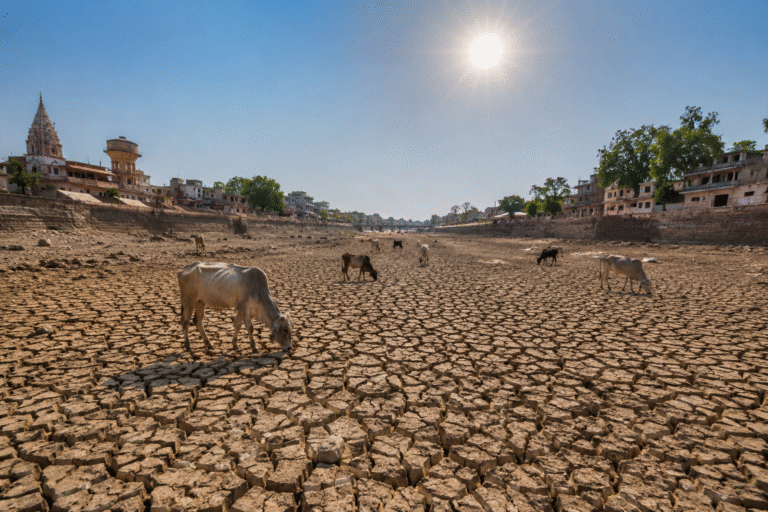 Water Crisis
