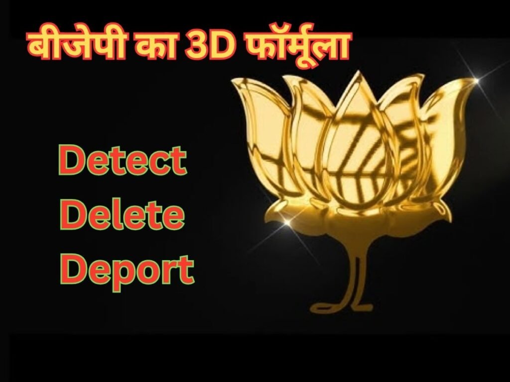 BJP 3D Formula