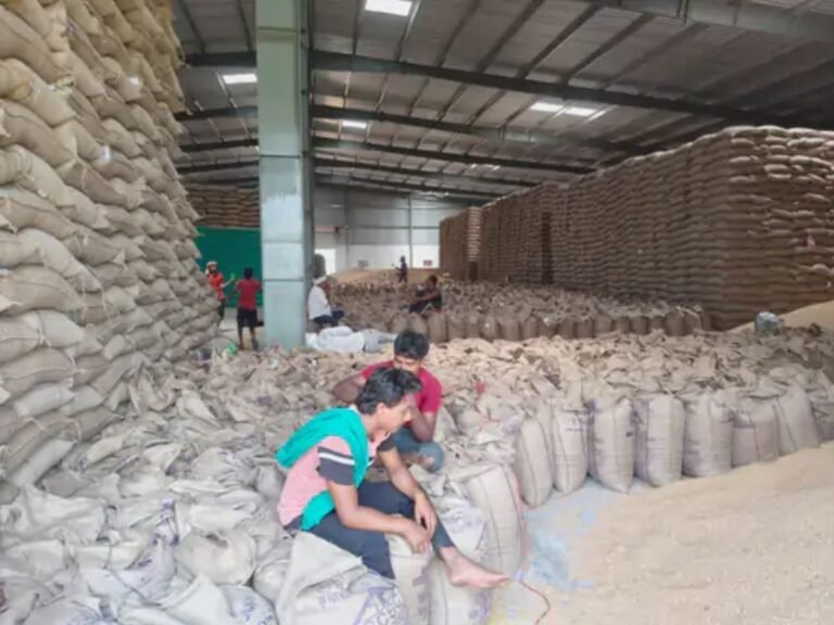 Wheat Procurement