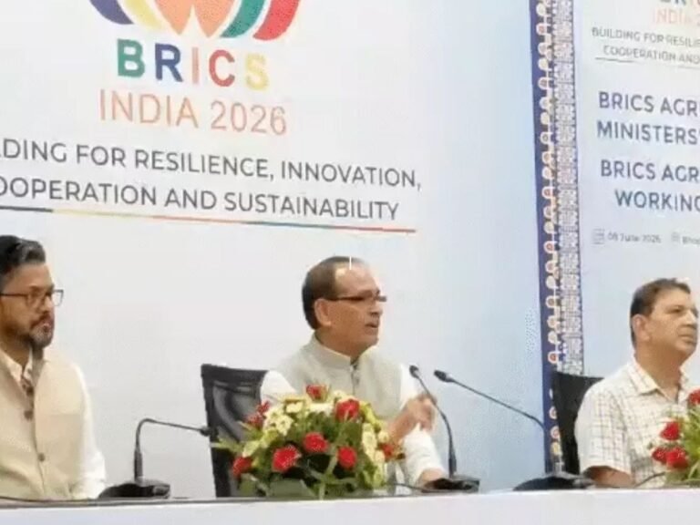BRICS Summit
