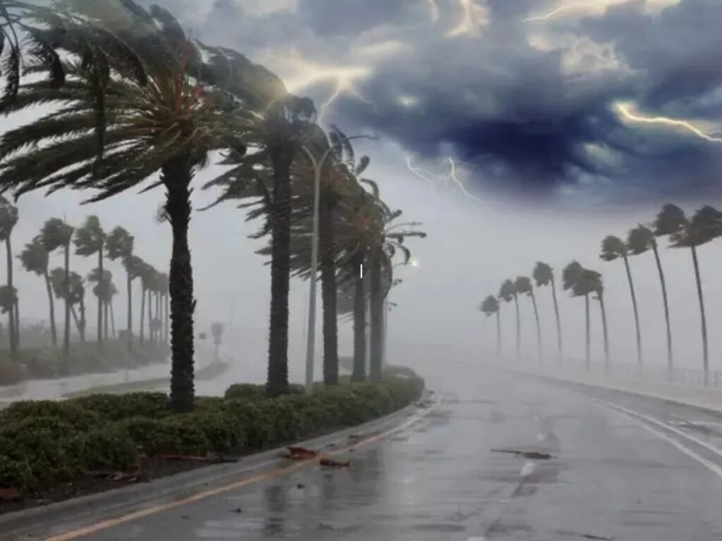 MP Monsoon Update