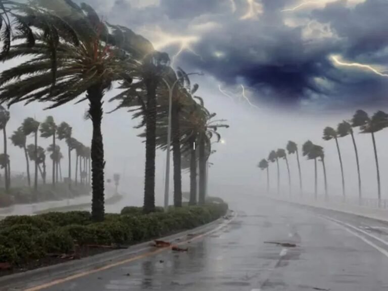 MP Monsoon Update