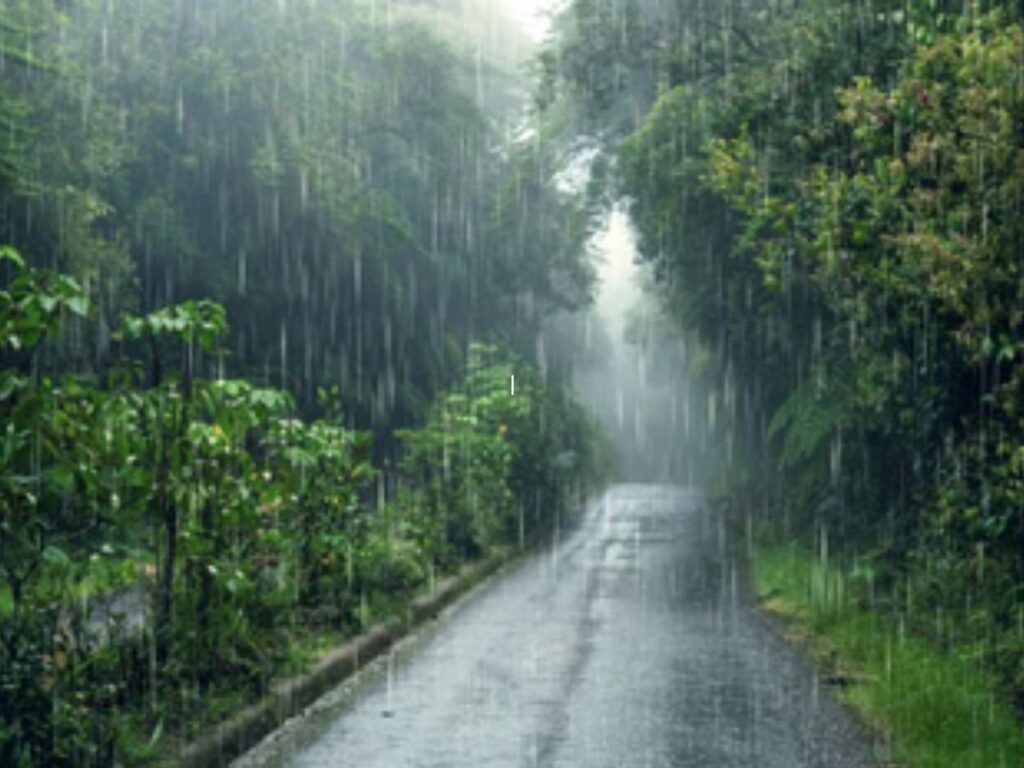 Sehore Weather News